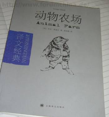 Buch in chinesischer Sprache und chinesischer Schrift.