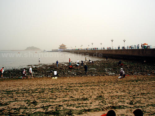 Strand von Qingdao China